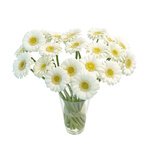 Закажите белые герберы с доставкой по СПб. - Фотография 3