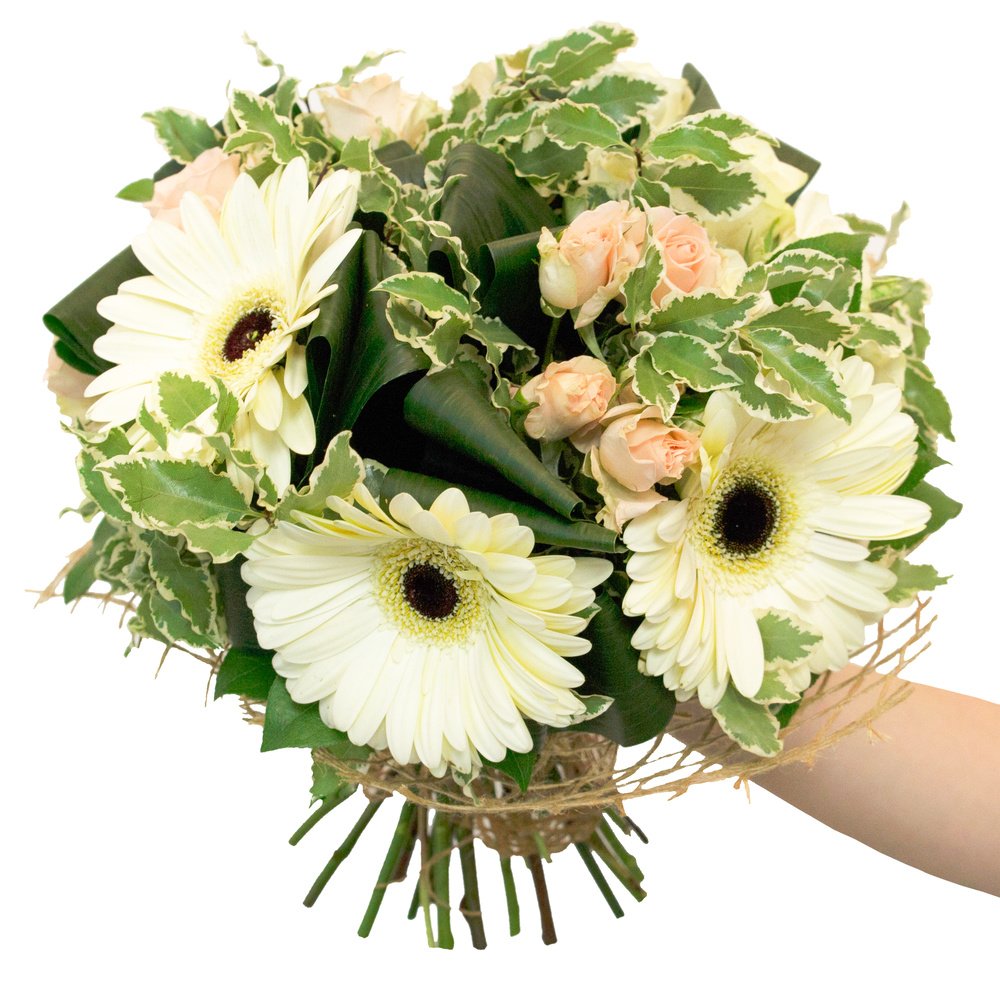 Домыслы Вероники Павловны