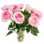 Букет пионовидная роза Дэвида Остина Миранда в Санкт-Петербурге - Фотография 1