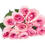 Букет пионовидная роза Дэвида Остина Миранда в Санкт-Петербурге - Фотография 4