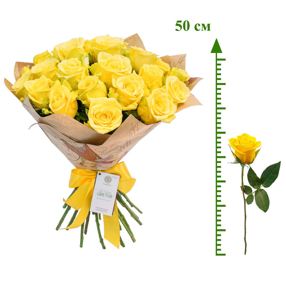 Роза Brazil (50 см)