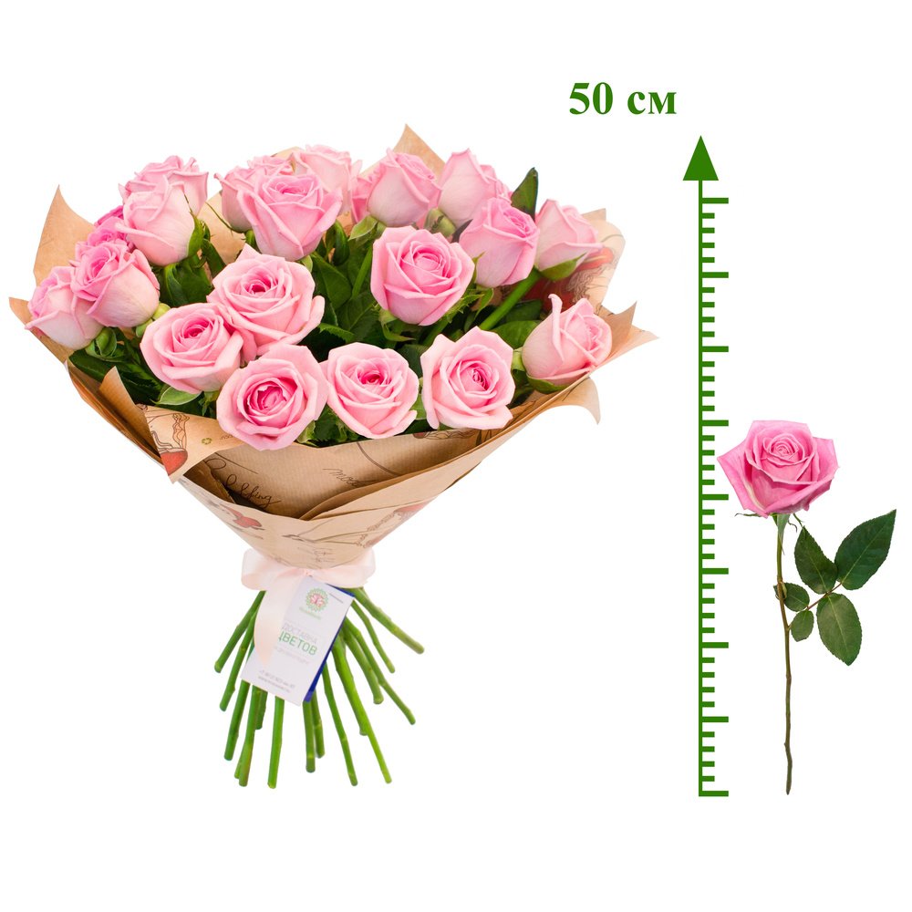 Роза Аква (50 см)