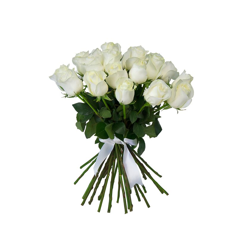 Белые розы (60 см)
