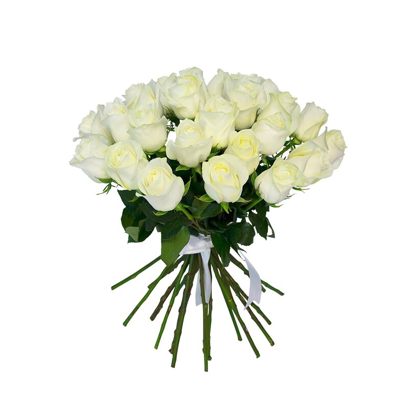 Белые розы (60 см)