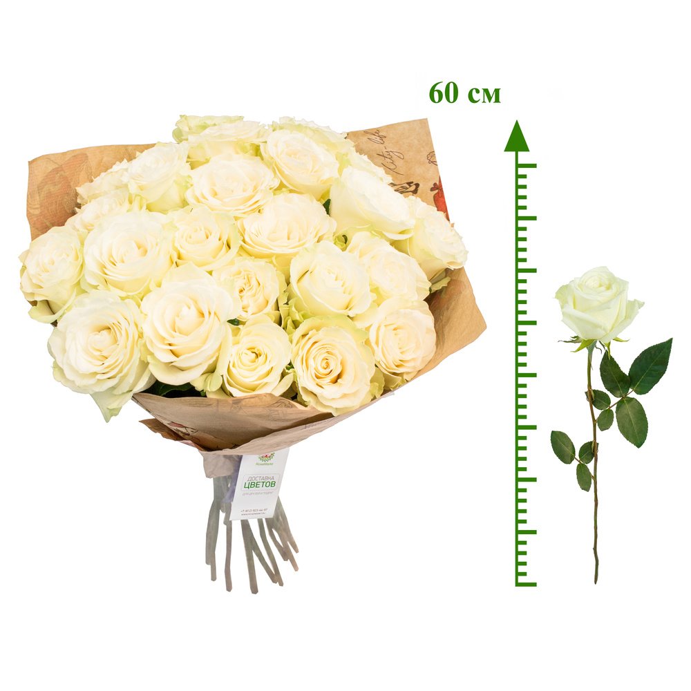 Белые розы (60 см)
