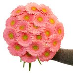 Розовые герберы так милы и красивы. - Фотография 3