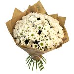 Букет из хризантем Сантини в Санкт-Петербурге - Фотография 1