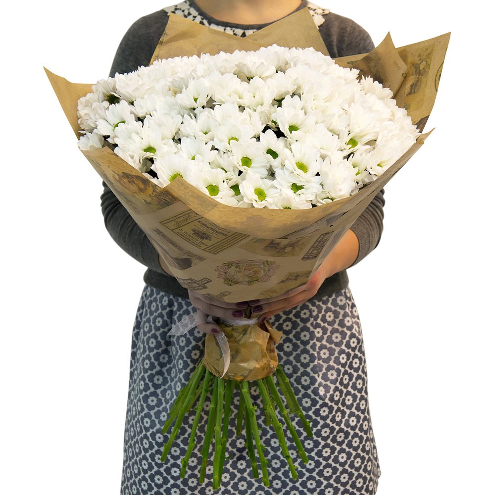 Хризантема Сантини