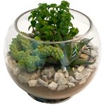 Имитация террариума в стеклянной вазе. - Фотография 1