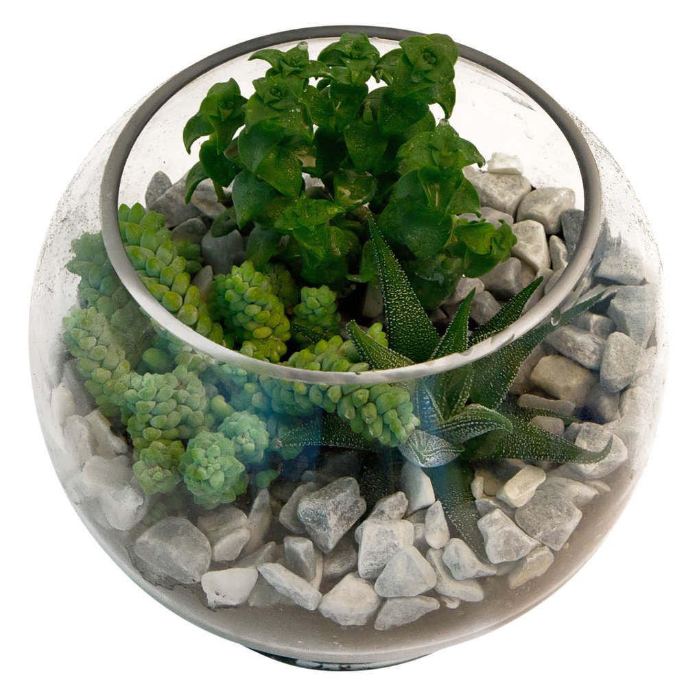 Террариум №1