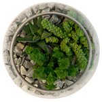 Имитация террариума в стеклянной вазе. - Фотография 2