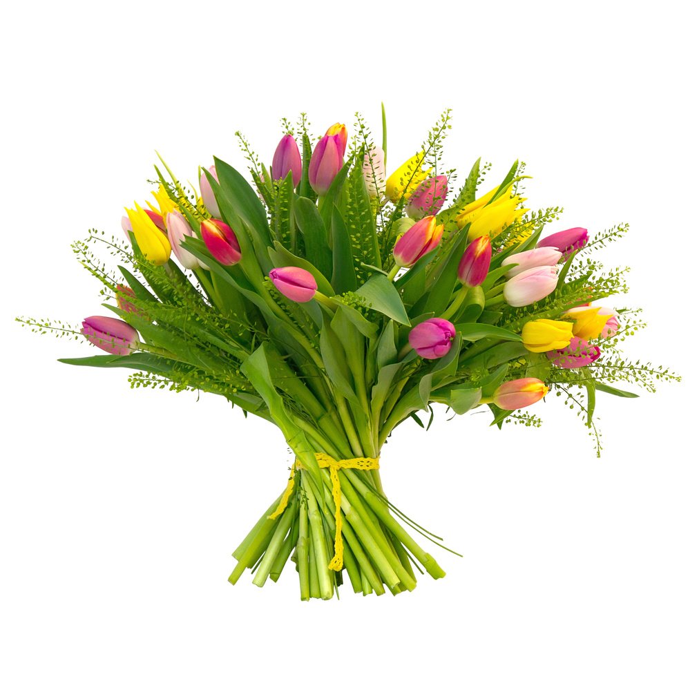 Tulipa. Разноцветный букет с тюльпанами.