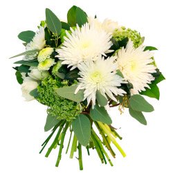 Букет «Букет «Зелёный» №2 - хризантемы, тюльпаны и фрезии» Букет «Букет «Зелёный» №2 - хризантемы, тюльпаны и фрезии»