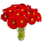 Букет унисекс - подойдет как для милых дам, так и для мужчин. - Фотография 3