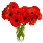 Букет унисекс - подойдет как для милых дам, так и для мужчин. - Фотография 5