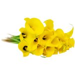 Солнечные желтые каллы всегда улучшат настроение в любой пасмурный день. - Фотография 1