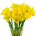 Солнечные желтые каллы всегда улучшат настроение в любой пасмурный день. - Фотография 2