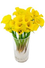 Солнечные желтые каллы всегда улучшат настроение в любой пасмурный день. - Фотография 3