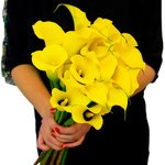 Солнечные желтые каллы всегда улучшат настроение в любой пасмурный день. - Фотография 4