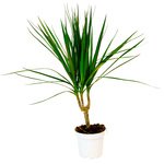  - Фотография 2