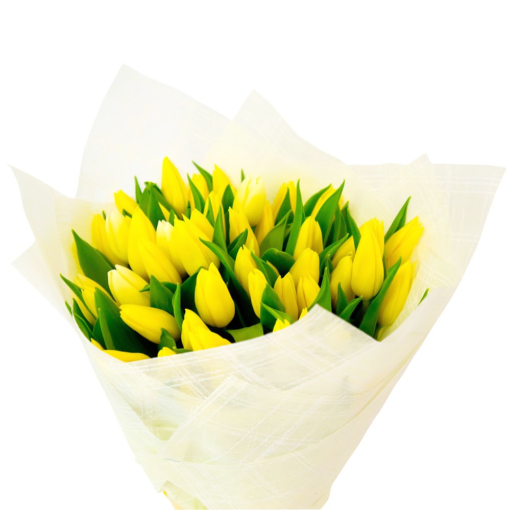 Tulipa. Жёлтый большой букет тюльпанов