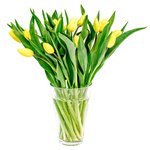 Весенний букет, играющий солнечным светом. - Фотография 1