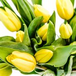 Весенний букет, играющий солнечным светом. - Фотография 2