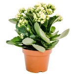  - Фотография 5