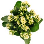  - Фотография 2