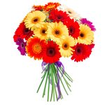 Небольшой, но приятный букет из гербер разных оттенков. - Фотография 2