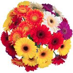 Небольшой, но приятный букет из гербер разных оттенков. - Фотография 3