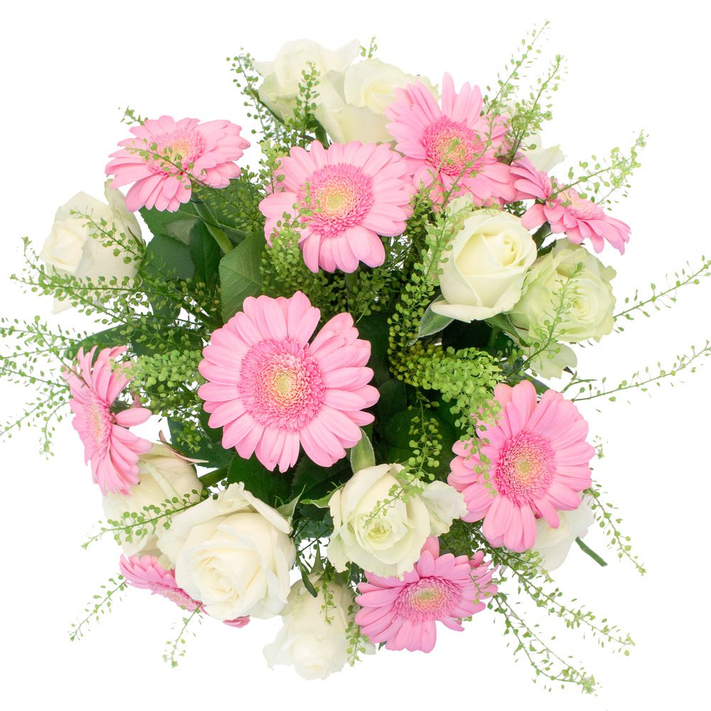 Улыбка принцессы