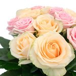 Букет из роз Аваланж и розовой, украшены аралией - Фотография 4 Букет из роз Аваланж и розовой, украшены аралией - Фотография 4