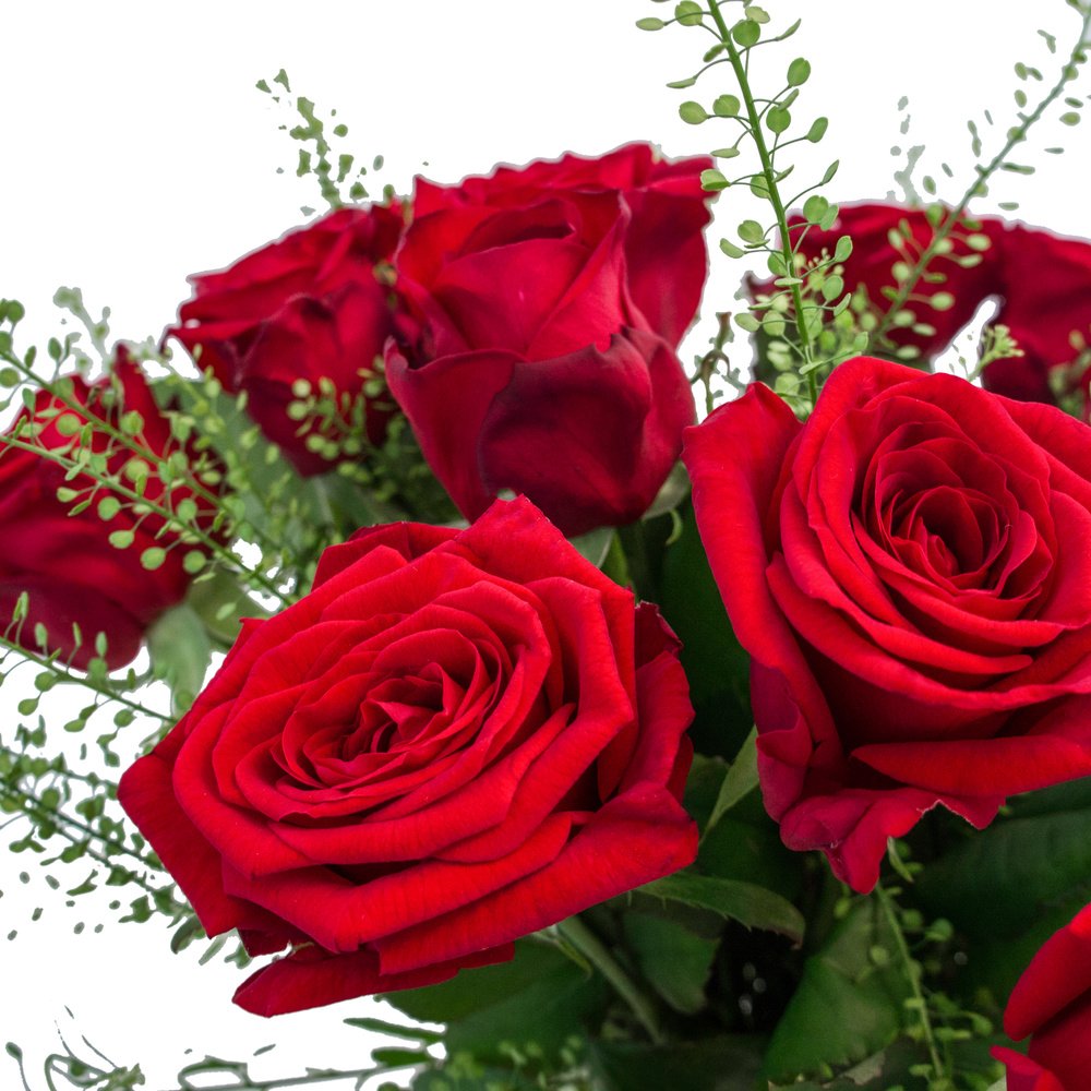 Моника: красные розы с гринбелом