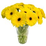 Весь солнечный свет в одном букете. Доставка по СПб. - Фотография 2