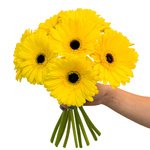 Весь солнечный свет в одном букете. Доставка по СПб. - Фотография 6