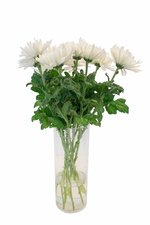 Букет из белых хризантем в Санкт-Петербурге - Фотография 4