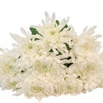 Букет из белых хризантем в Санкт-Петербурге - Фотография 6