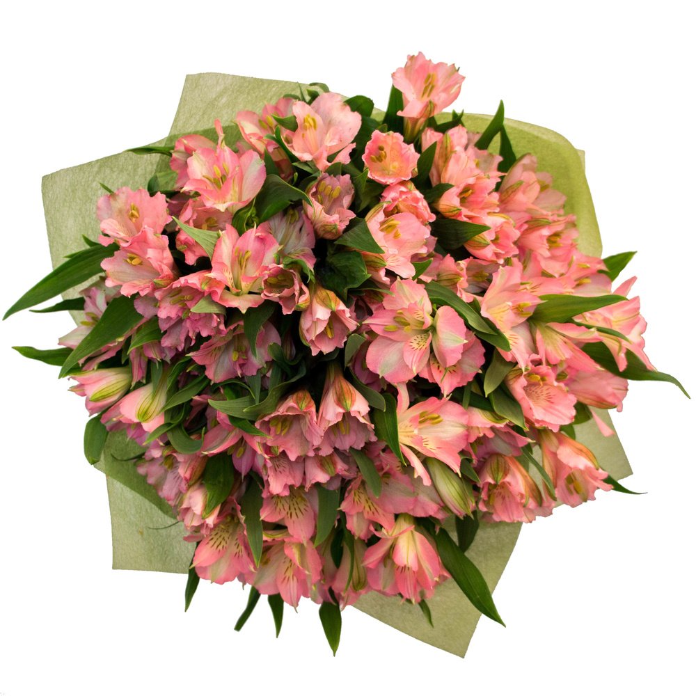 Альстромерия