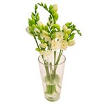 Букет белая фрезия в Санкт-Петербурге - Фотография 2