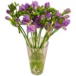Букет фиолетовая фрезий в Санкт-Петербурге - Фотография 3
