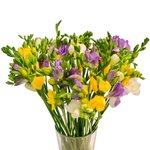 Букет из разноцветных фрезий в Санкт-Петербурге - Фотография 3