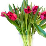 Букет из красных тюльпанов в Санкт-Петербурге - Фотография 2