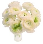 Букет из белых ранункулюсов в Санкт-Петербурге - Фотография 2