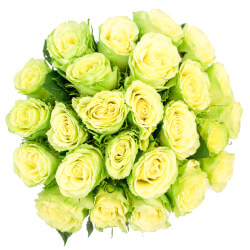 Букет «Роза зелёная микс» Букет «Роза зелёная микс»