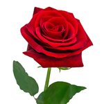  - Фотография 1