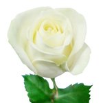  - Фотография 1