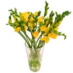 Букет жёлтая фрезия в Санкт-Петербурге - Фотография 3