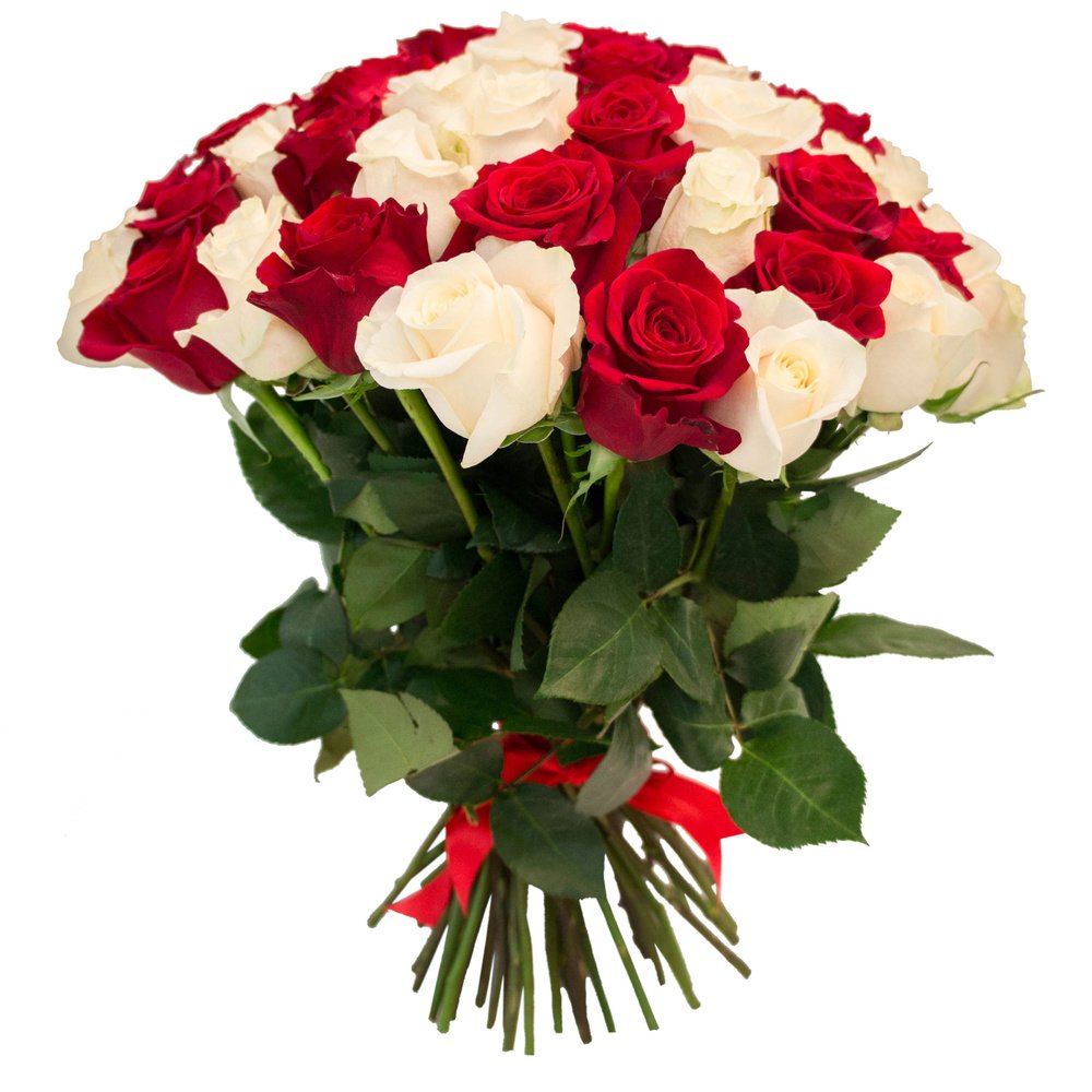 Розы бело красные название. Букет из белых и красных роз. Букет 35 роз.