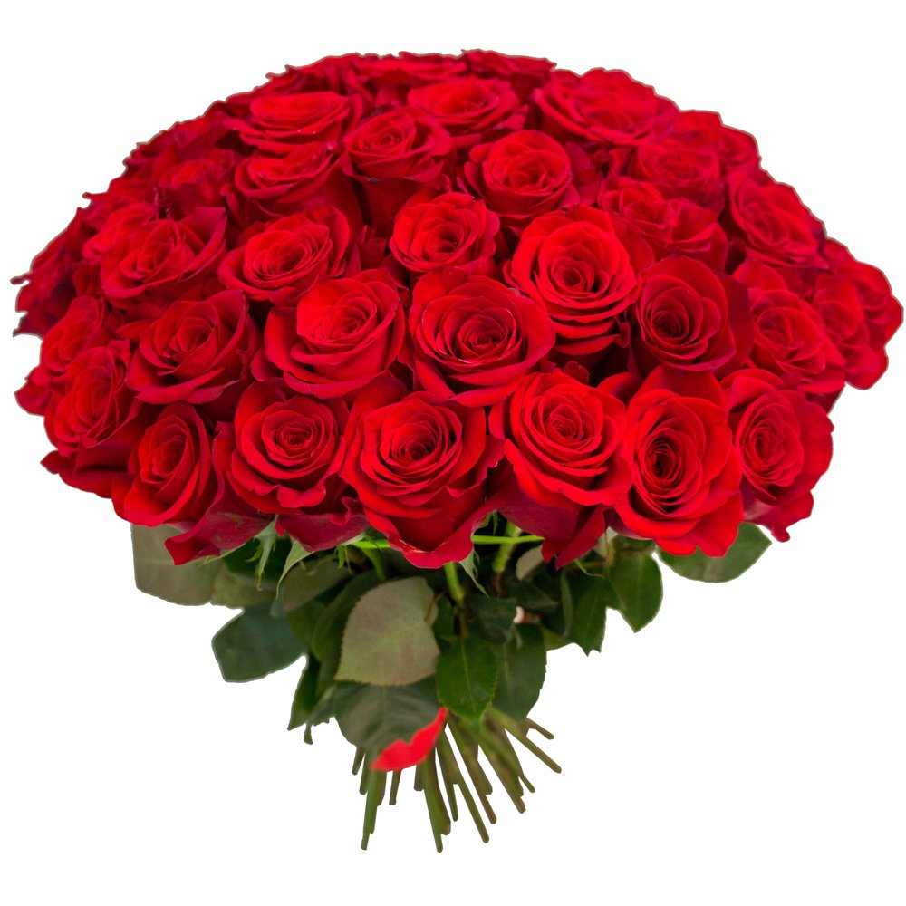 65 красных роз по цене 17250 ₽ - купить в RoseMarkt с доставкой поСанкт-Петербургу